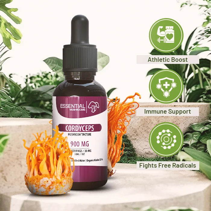 essential mushrooms cordyceps tincture benefits pic