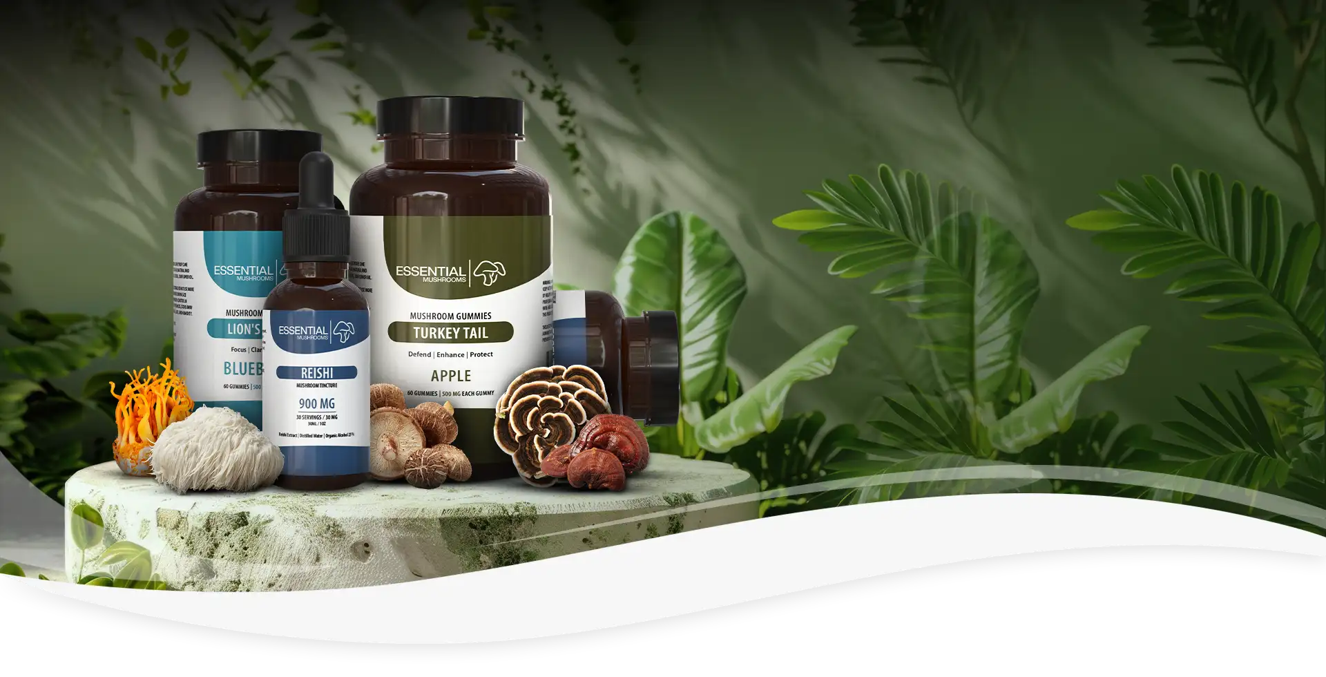 functional mushroom supplements homepage banner desktop