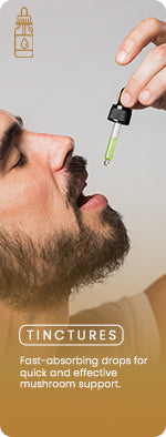 Promo Image