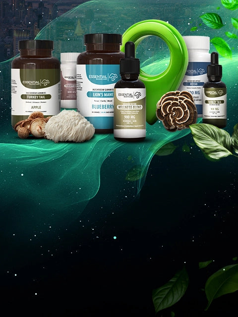 newyork medicinal mushroom dispensary