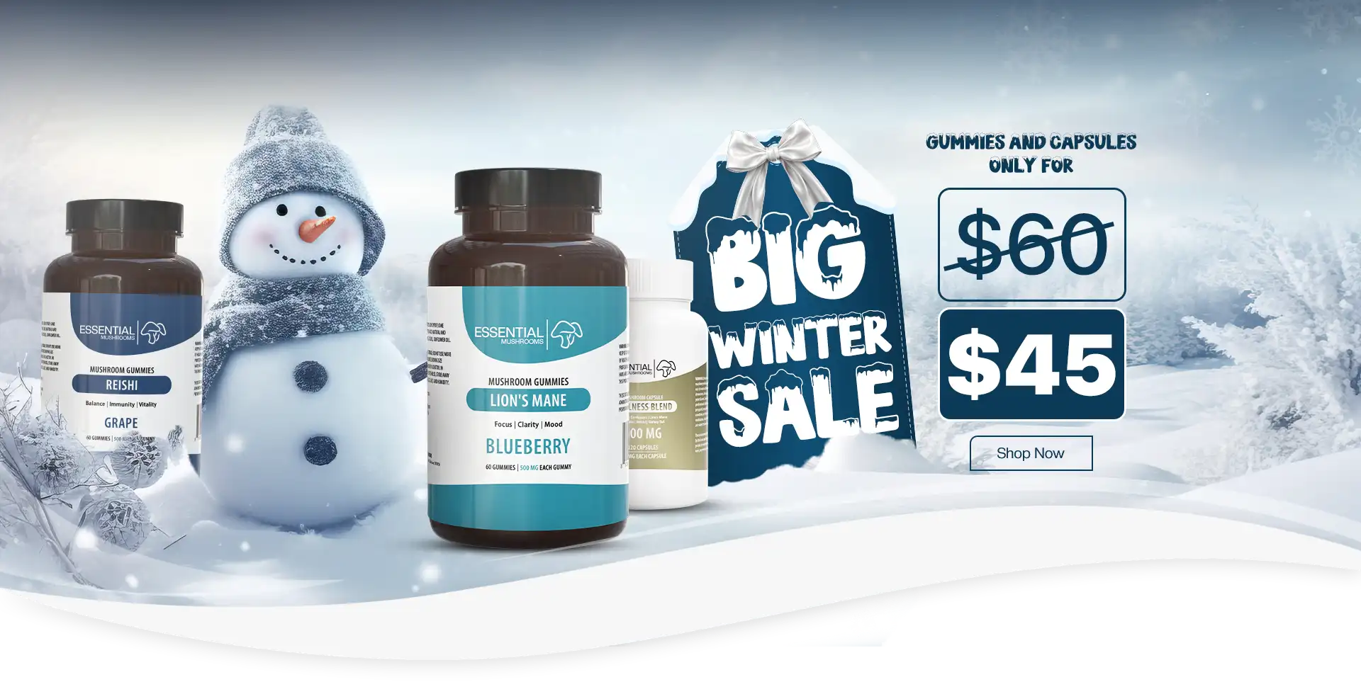 winter sale homepage banner desktop version